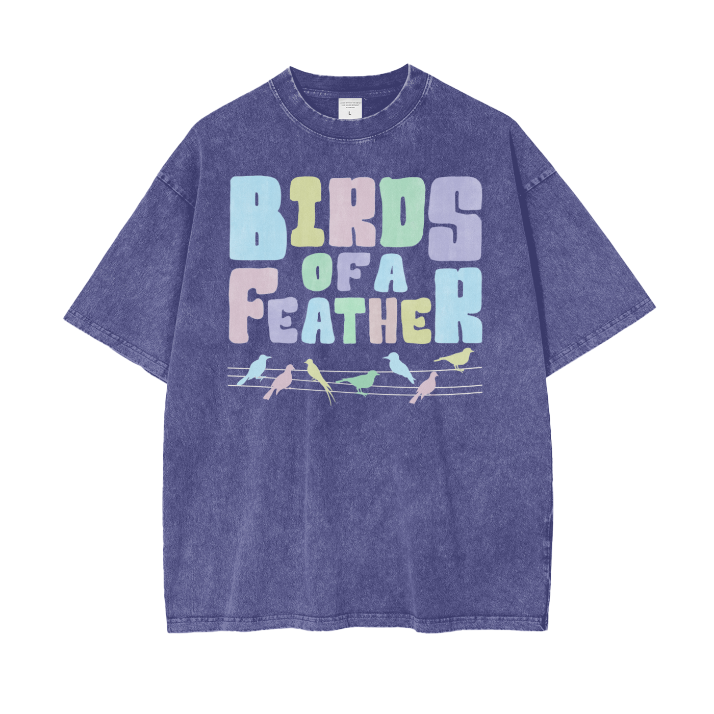 Birds Feathers Unisex Oversize Snow Washed T-Shirt