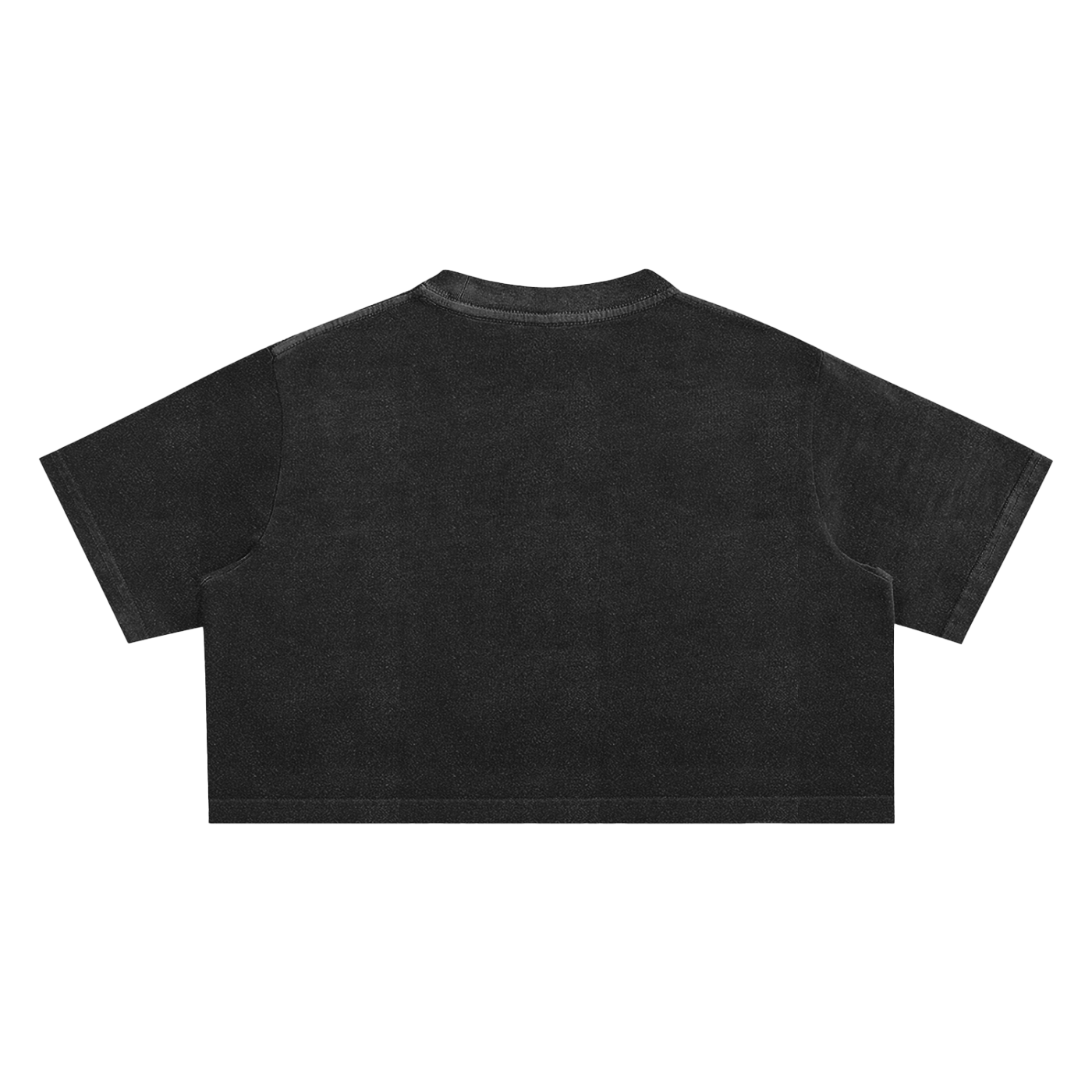 Fruits Snow Washed Crop Top