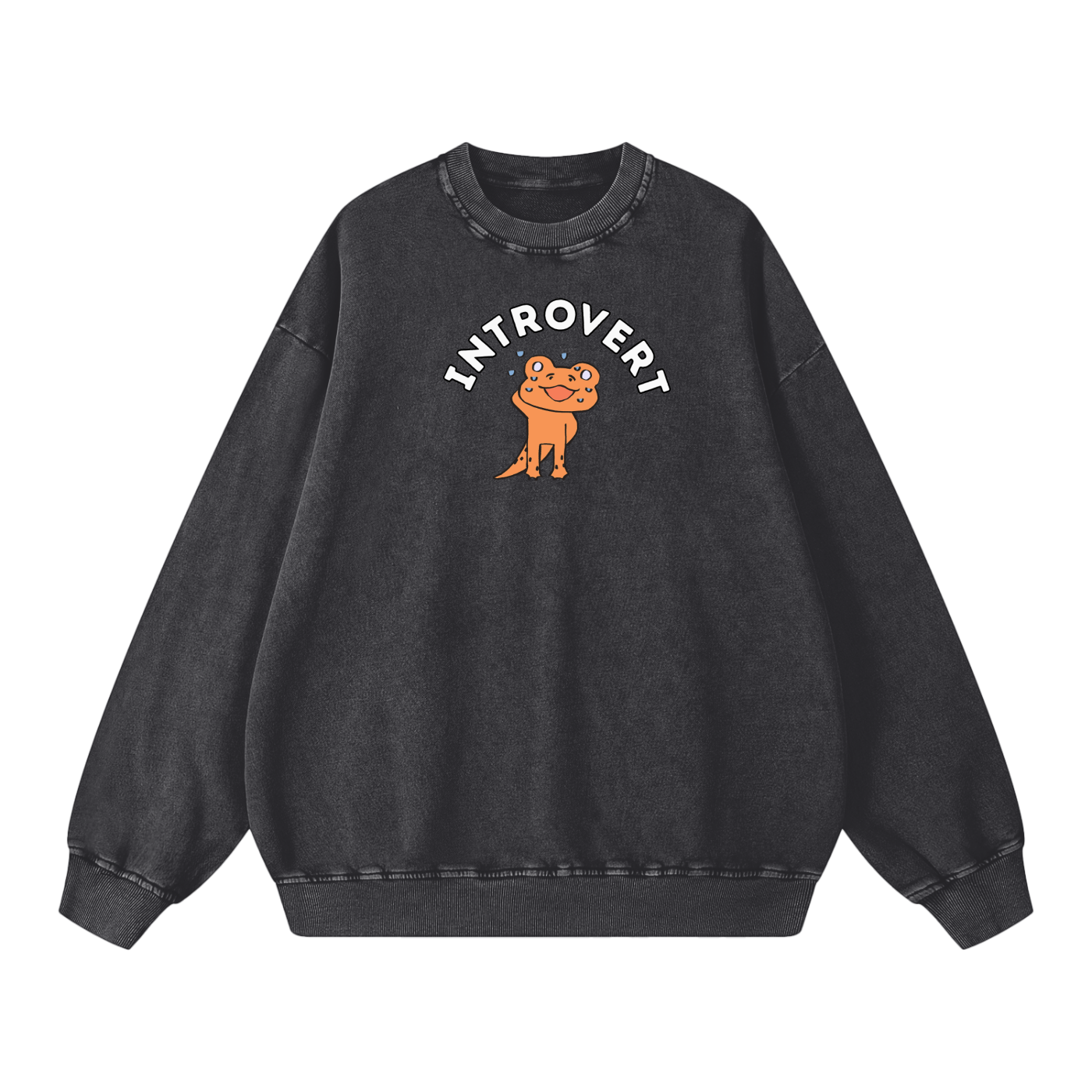 Shy Lizard Acid Wash Oversize Sweatshirt