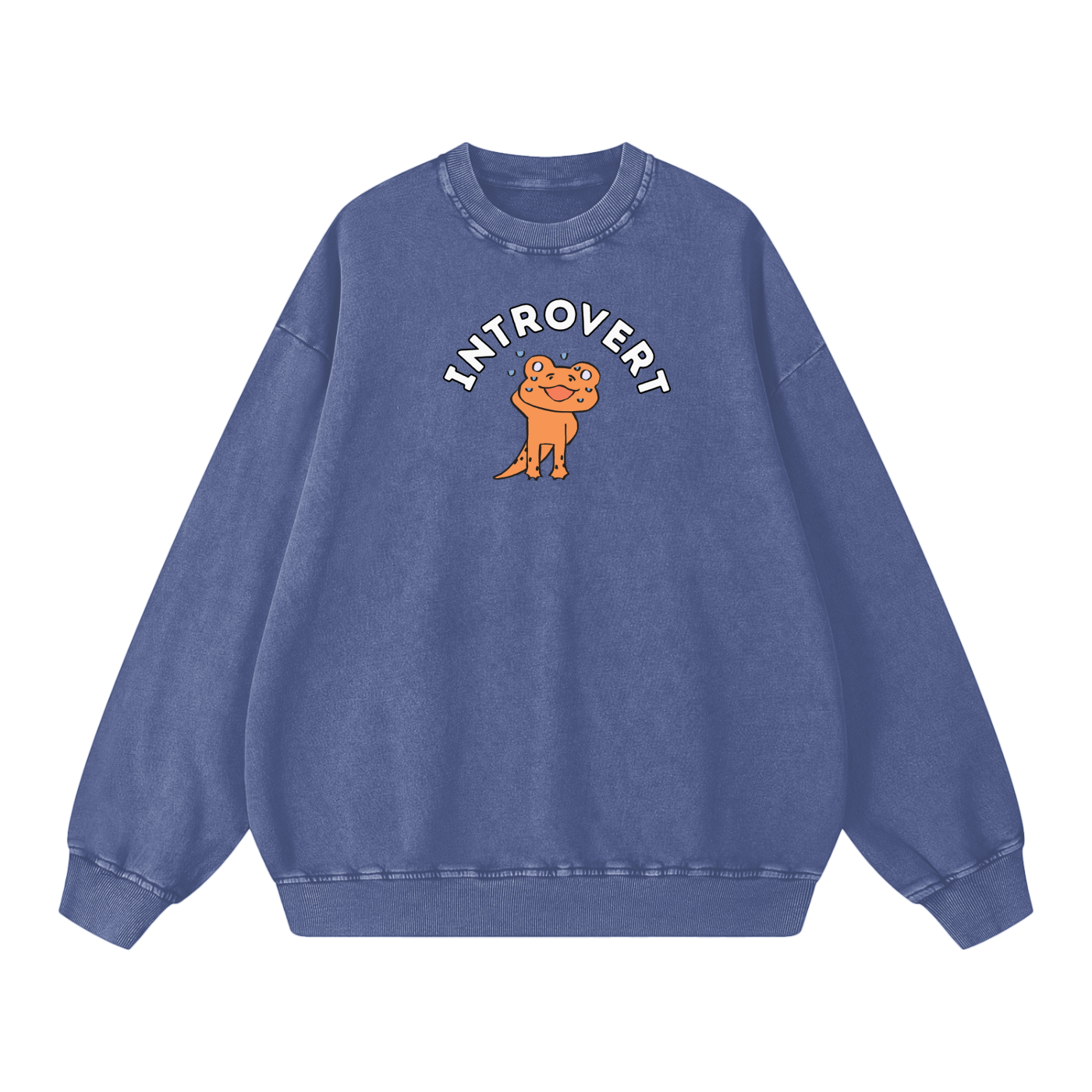 Shy Lizard Acid Wash Oversize Sweatshirt