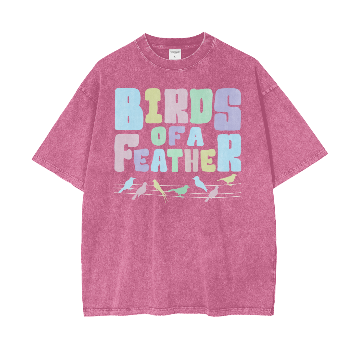 Birds Feathers Unisex Oversize Snow Washed T-Shirt