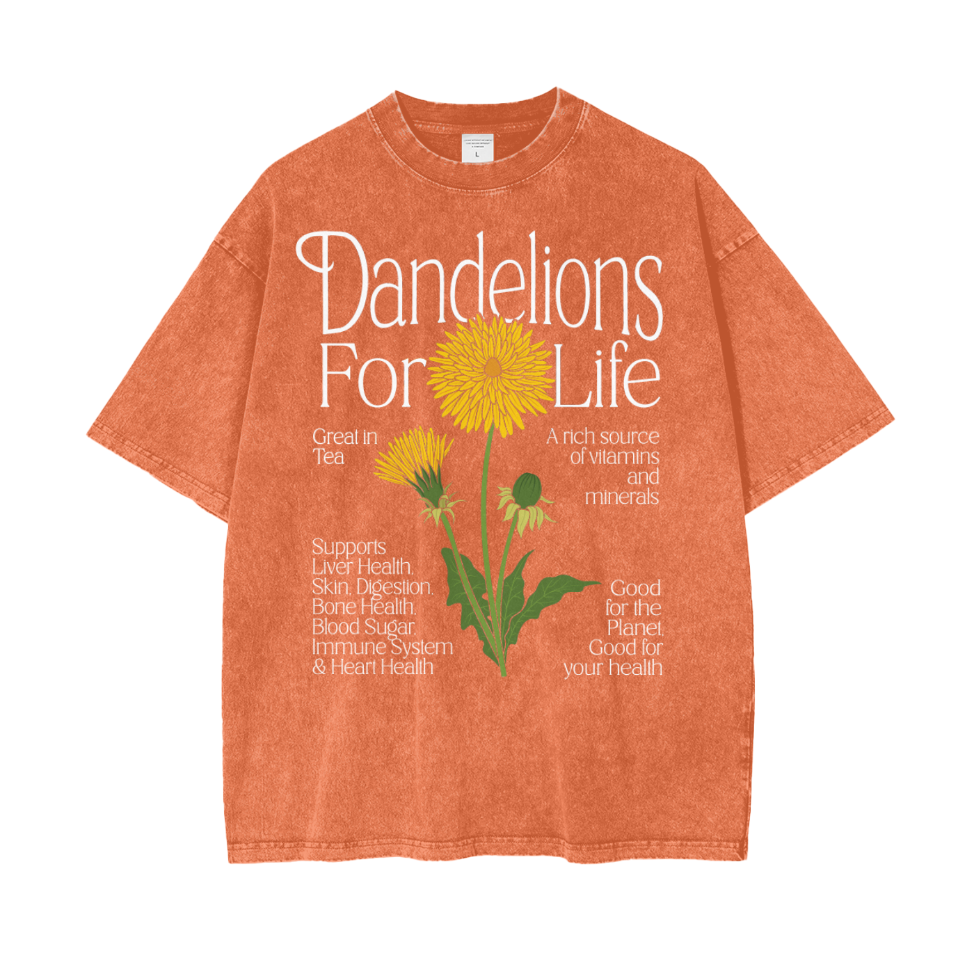 Dandelions Unisex Oversized Snow Washed T-Shirt