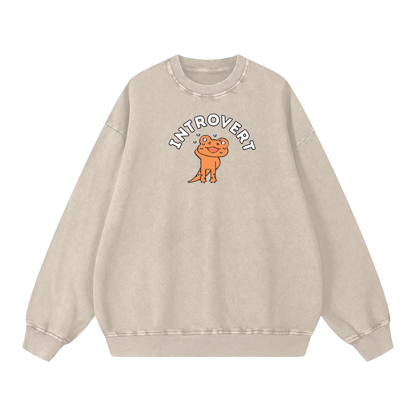 Shy Lizard Acid Wash Oversize Sweatshirt