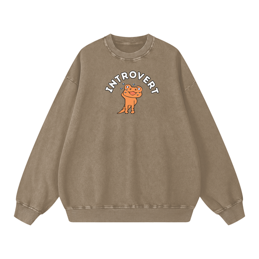 Shy Lizard Acid Wash Oversize Sweatshirt
