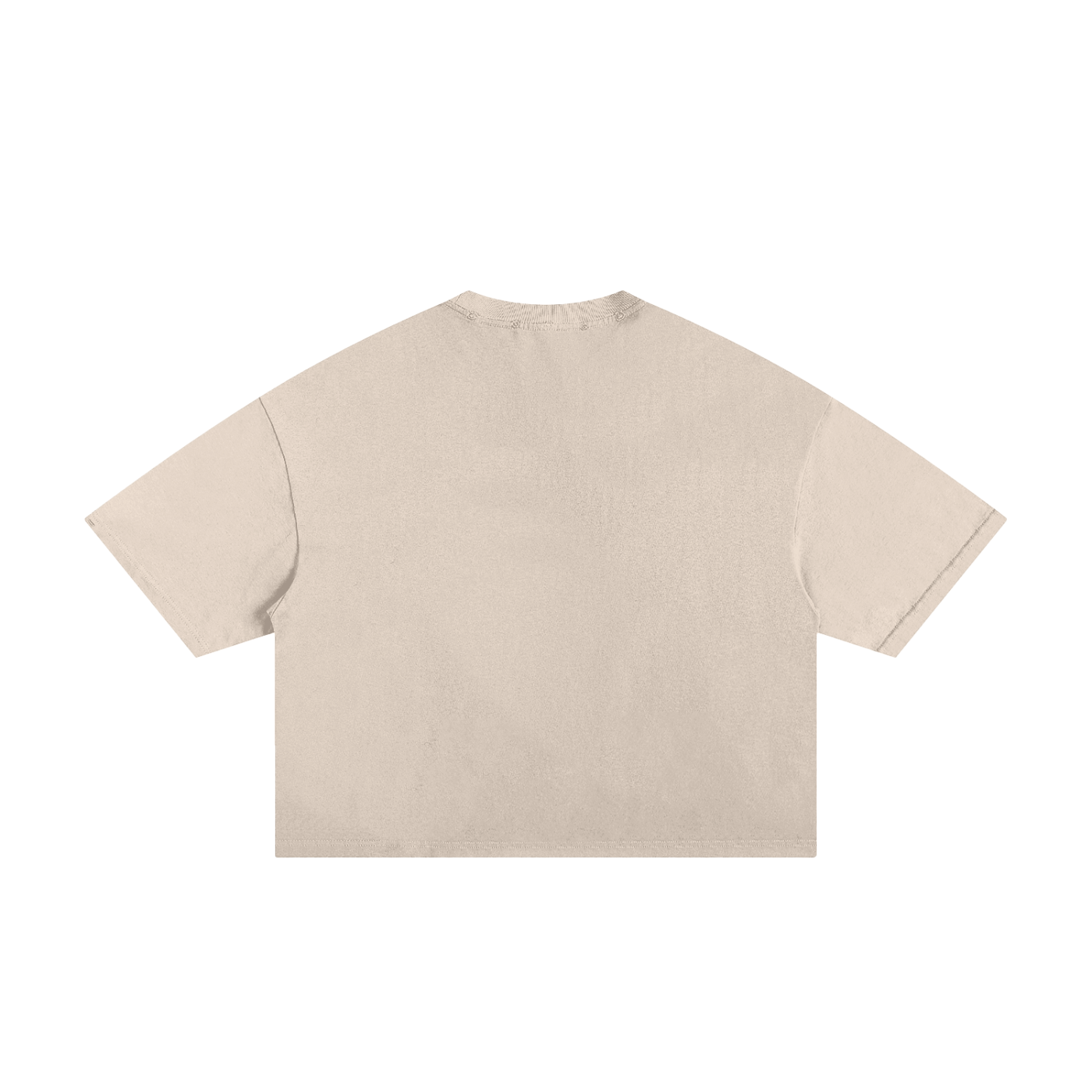 Lizard Introvert Unisex Classic Frayed Boxy Tee